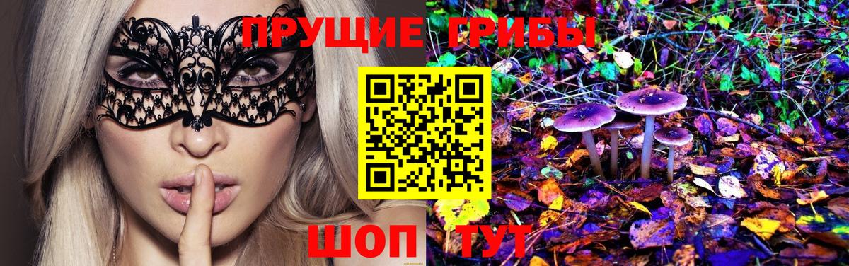 Псилоцибиновые грибы Magic Shrooms Курчалой